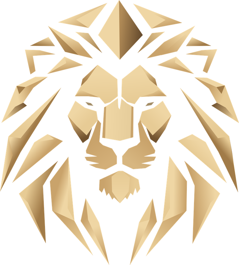Le lion du Groupe INFINITE RD